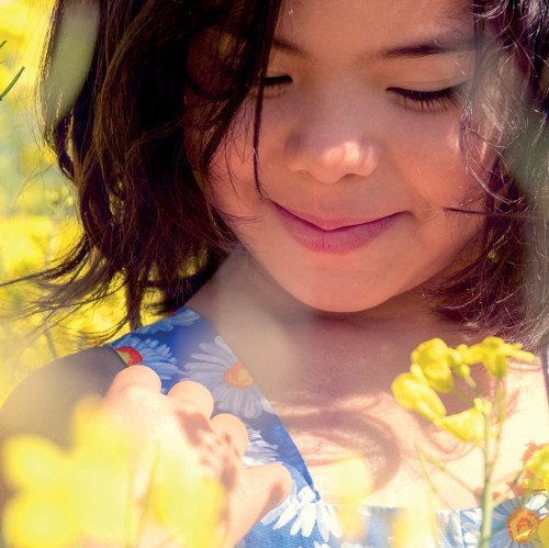 لقطة مقربة لحبوب اللقاح الصفراء على زهرة، مسببة للحساسية الموسمية في الهواء الطلق.