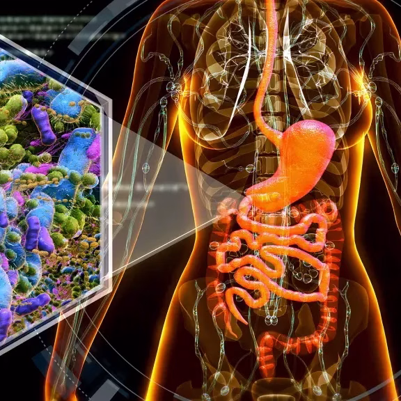 GUT-MICROBIOME-576 تعرف على اختلال الميكروبيوتا المعوية، والعوامل التي قد تؤثر في بكتيريا الأمعاء، والأعراض الهضمية التي تستدعي تقييماً طبياً.